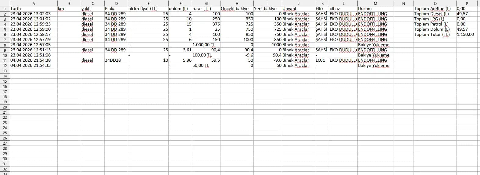 Excel view of balance history